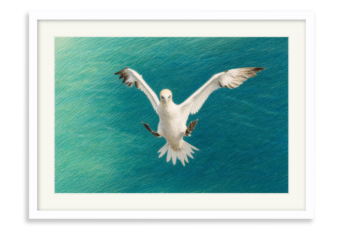 White Frame A4 -  21 x 29.7 cm (+£125.00)